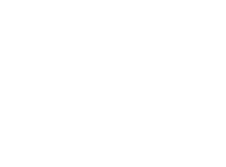 2e Effect & Evidence Logo Image
